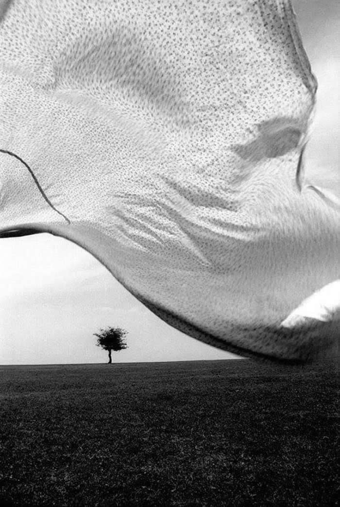 Timeless Black and White: 35 Minimalist Photos That Let Light, Shadow, and Shape Tell the Story 66 Minimalist Photos That Let Light, Shadow, and Shape Tell the Story