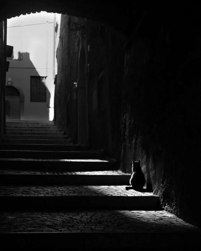 Timeless Black and White: 35 Minimalist Photos That Let Light, Shadow, and Shape Tell the Story 67 Minimalist Photos That Let Light, Shadow, and Shape Tell the Story