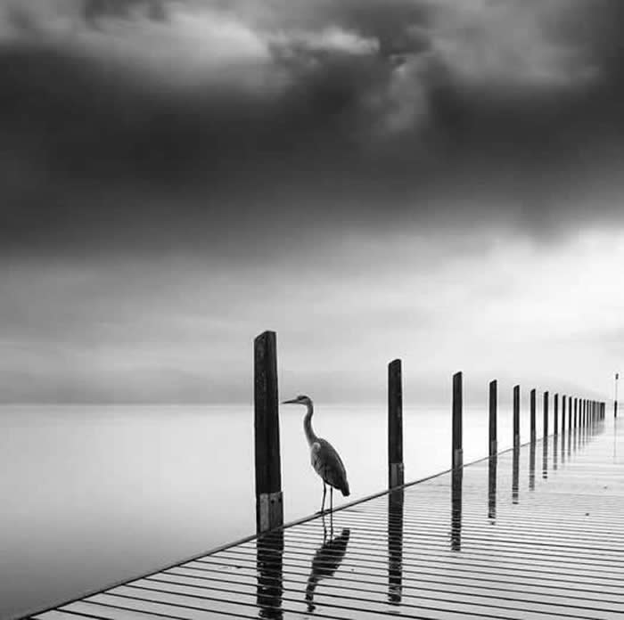 Timeless Black and White: 35 Minimalist Photos That Let Light, Shadow, and Shape Tell the Story 46 Minimalist Photos That Let Light, Shadow, and Shape Tell the Story